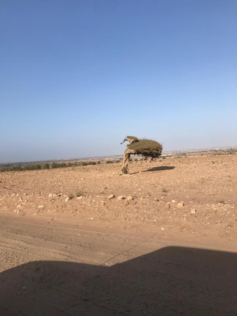 Riad Targante Takate 1 Sidi Bibi Eksteriør bilde